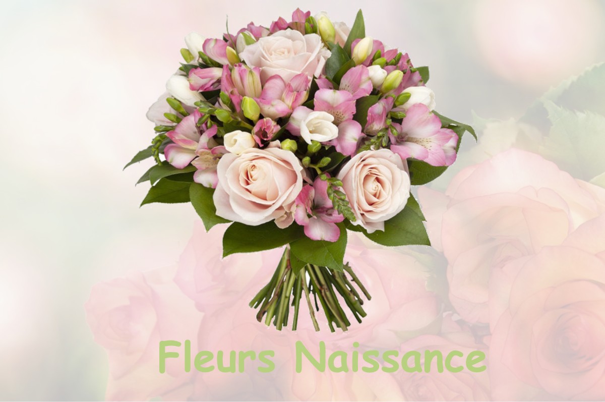 fleurs naissance VENERQUE