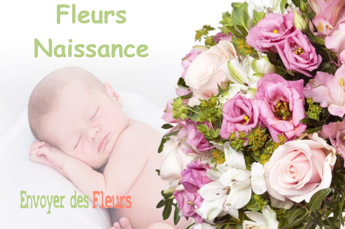 lIVRAISON FLEURS NAISSANCE à VENERQUE